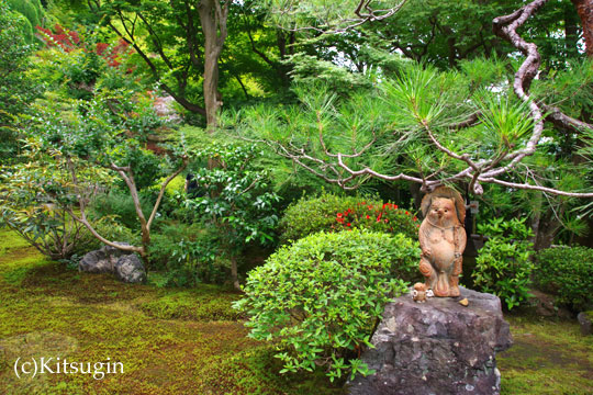 鈴虫寺の庭園の一部